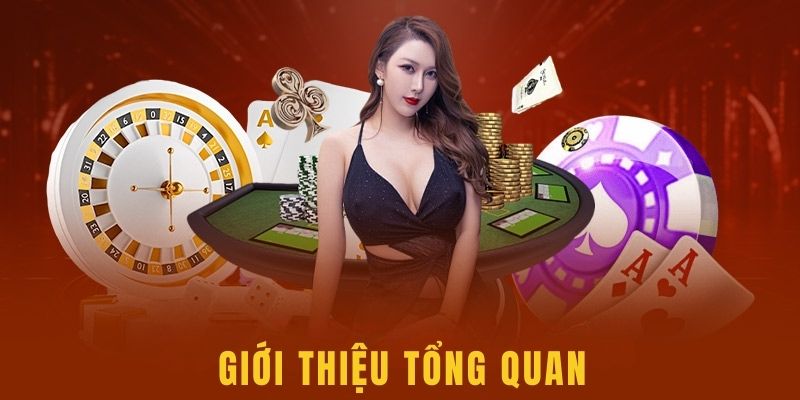 Những sản phẩm nổi bật của ko66
